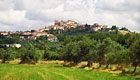 Rosignano Marittimo Guida Turistica - Ristoranti a Rosignano - Hotel a Rosignano - Rosignano Mare